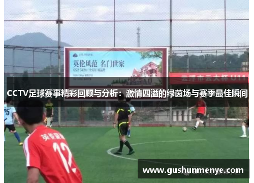 CCTV足球赛事精彩回顾与分析：激情四溢的绿茵场与赛季最佳瞬间